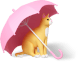 akiTech